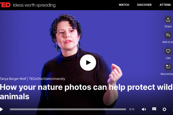 A screen capture of the ted.com webpage of Dr. Tanya Berger-Wolf's TEDx Talk