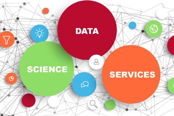 Data Science Services Graphic