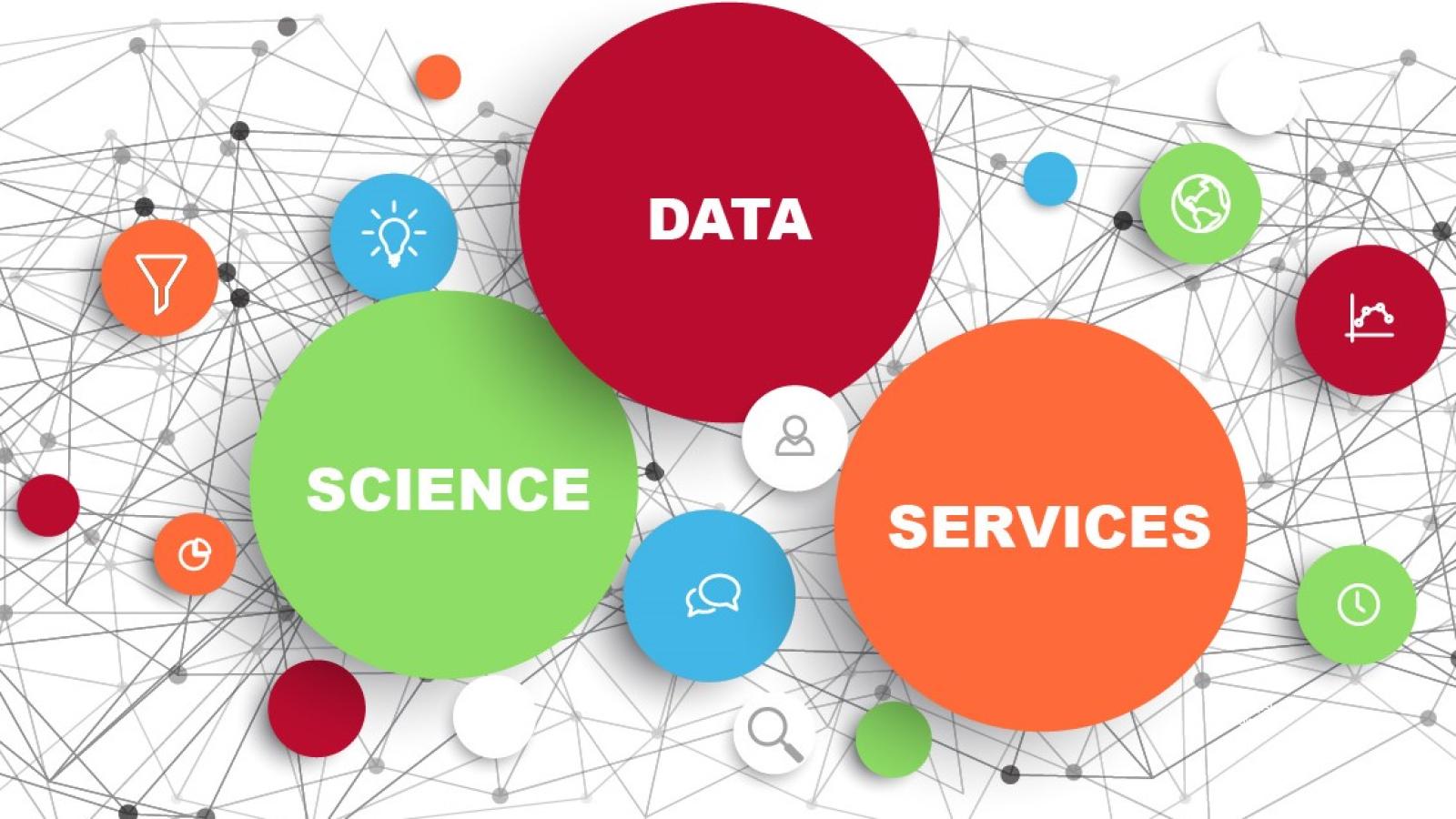 Banner with words: Data Science Services Banner - version2